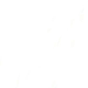 Meet your Posher, Devika